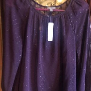 J Crew Point Sur Womens XS Deep Purple Dotted Swiss Top New With Tag